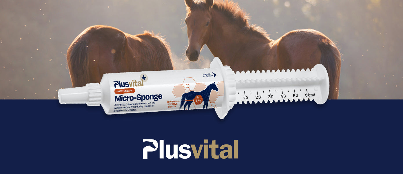 Foaling Season is Almost Here: Is Your Foaling Kit Ready?