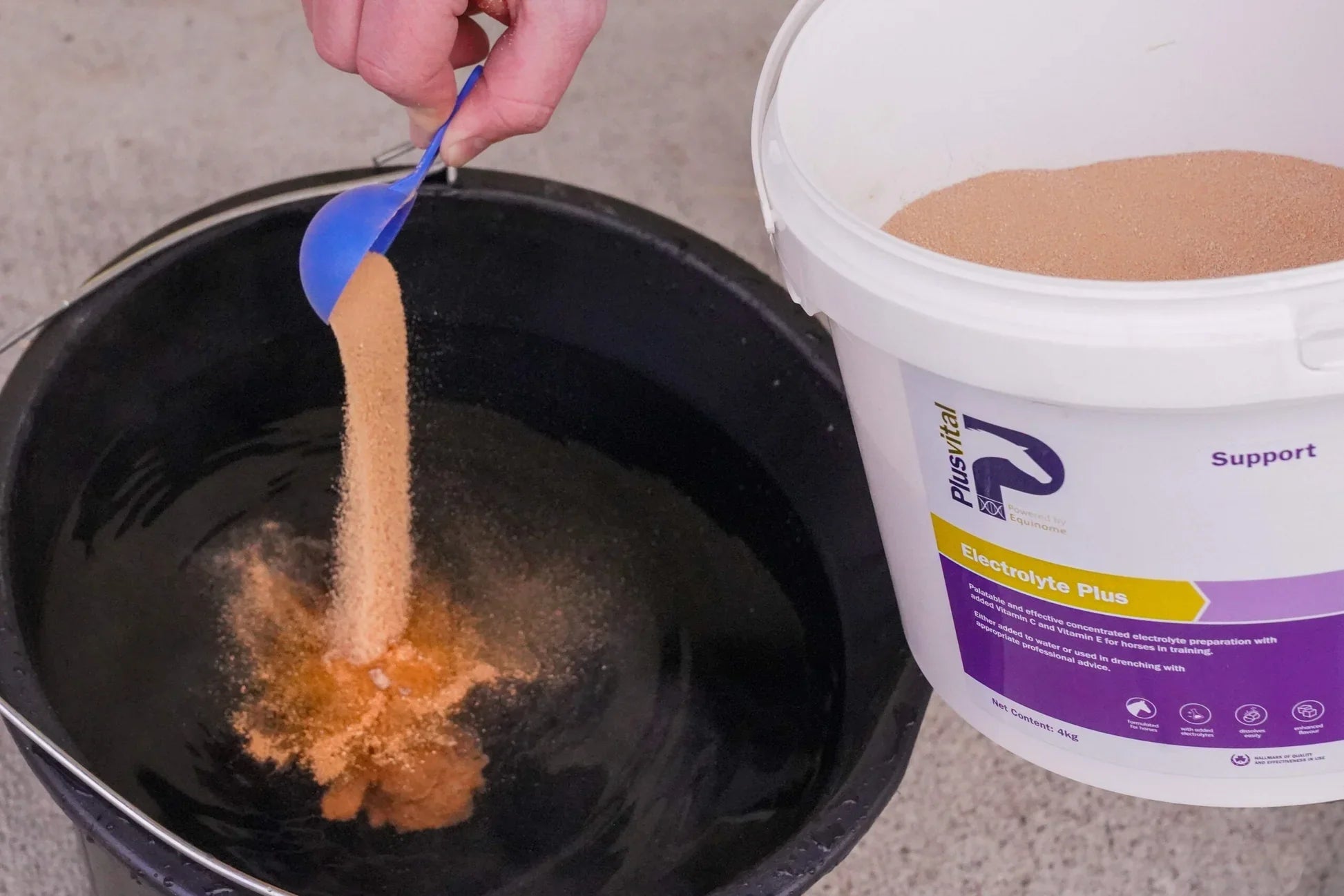 Beat The Heat: How Electrolytes Work