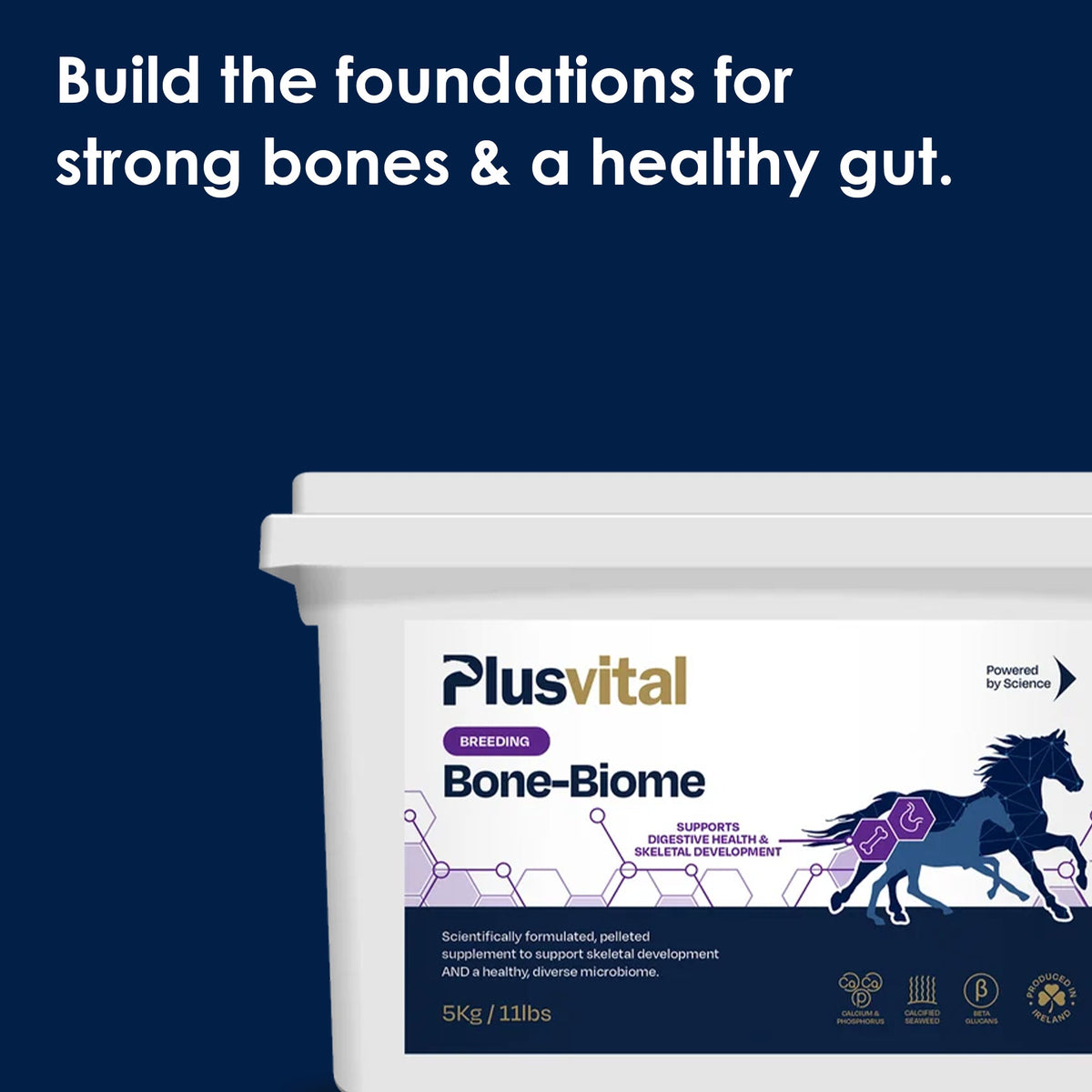 Bone-Biome: Supporting Strong Bones and a Healthy Gut Through Every Stage of Development