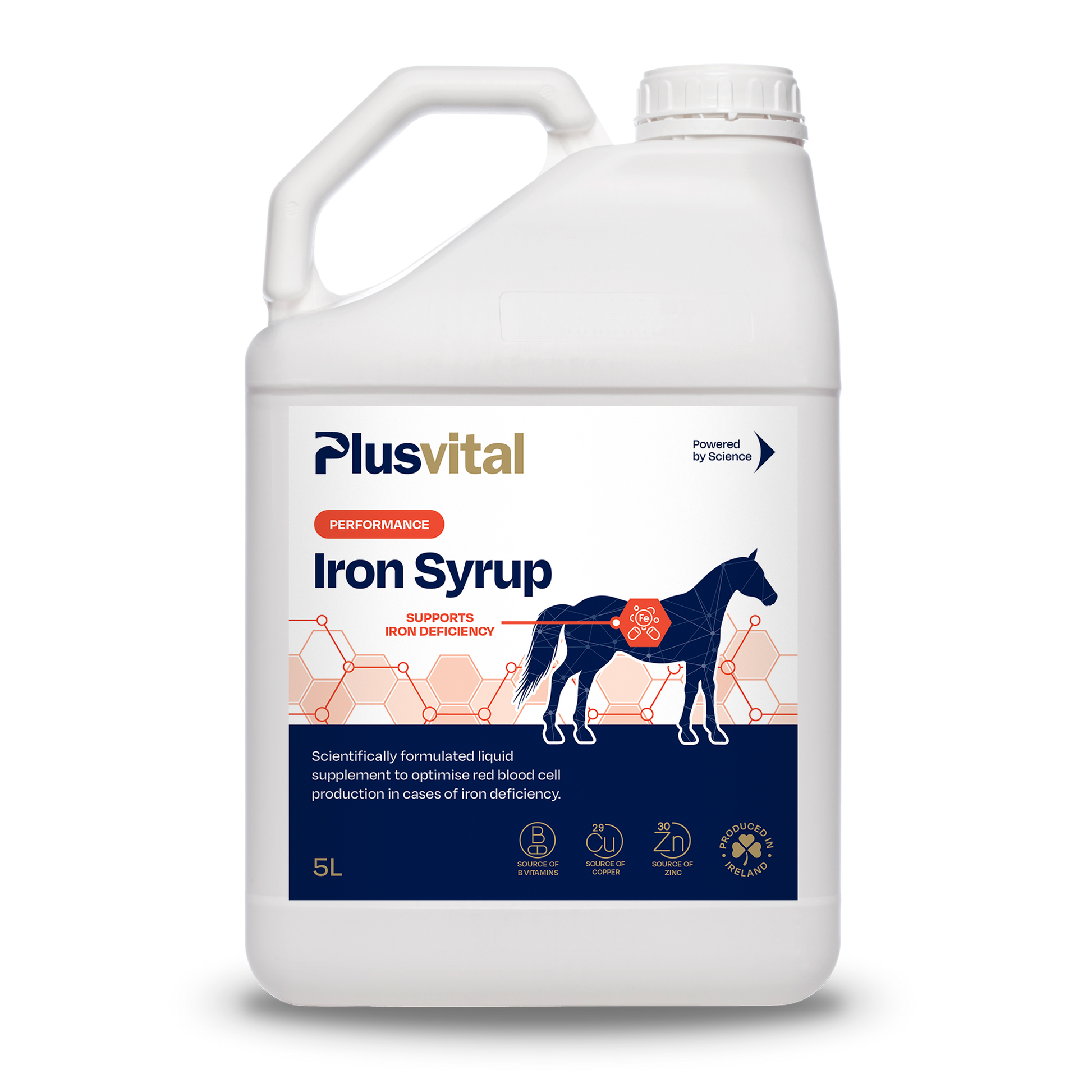 Plusvital Iron Syrup 5L