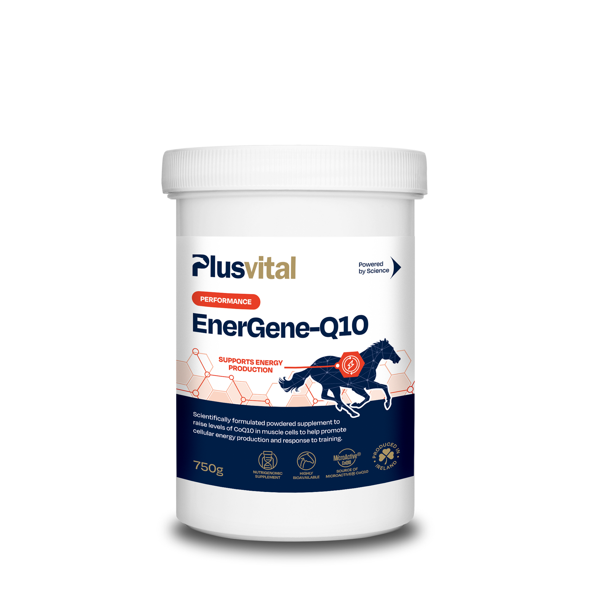 Plusvital EnerGene-Q10 750g