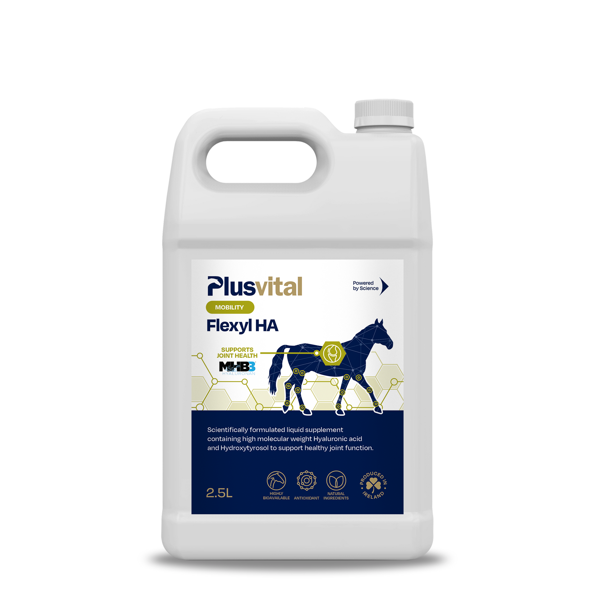 Plusvital Flexyl HA 2.5L